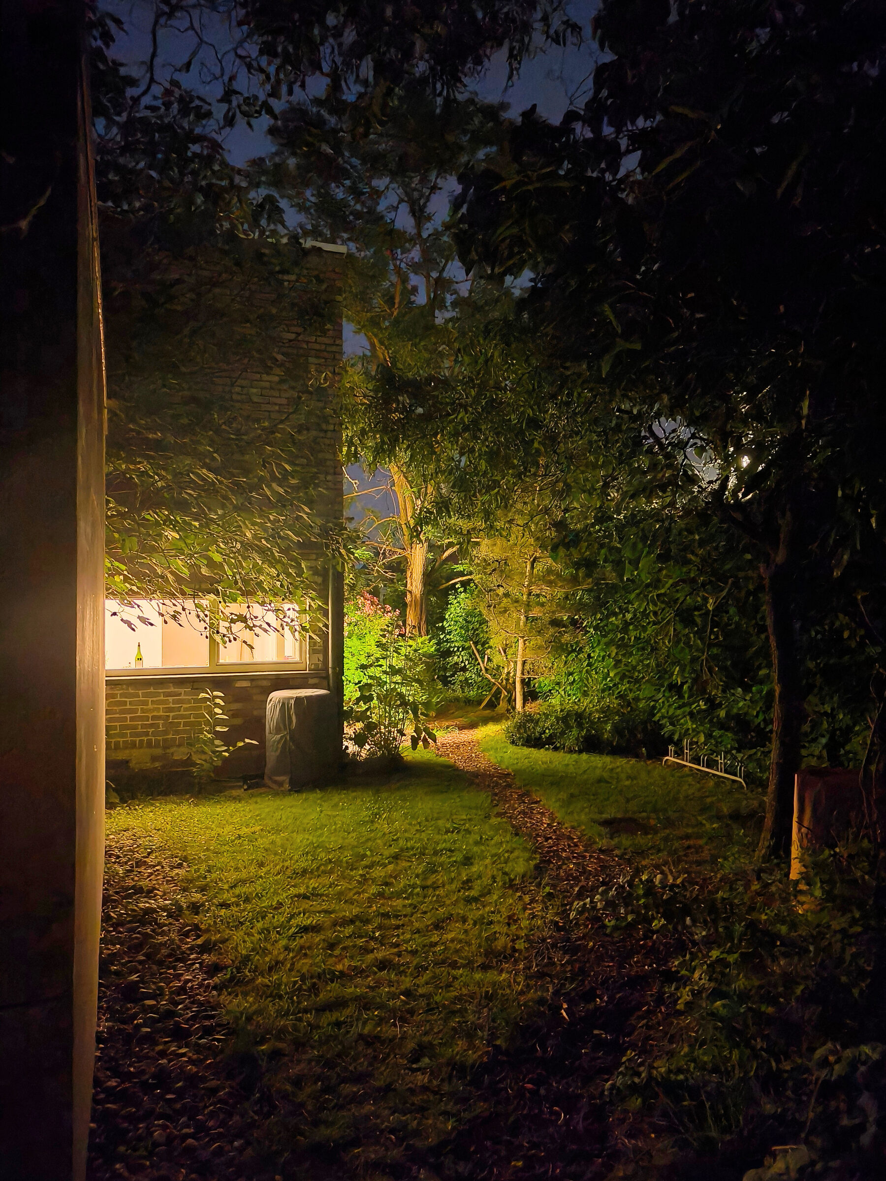 Tuin bij nacht